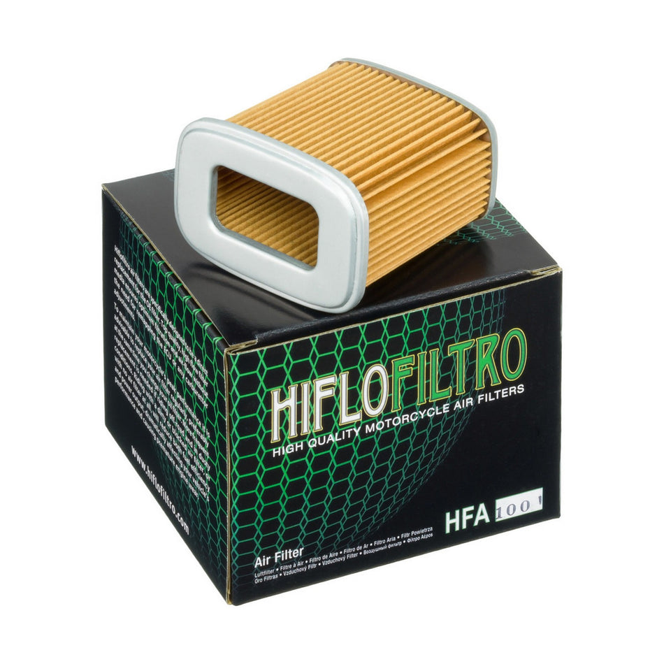HFA1001 Air Filter