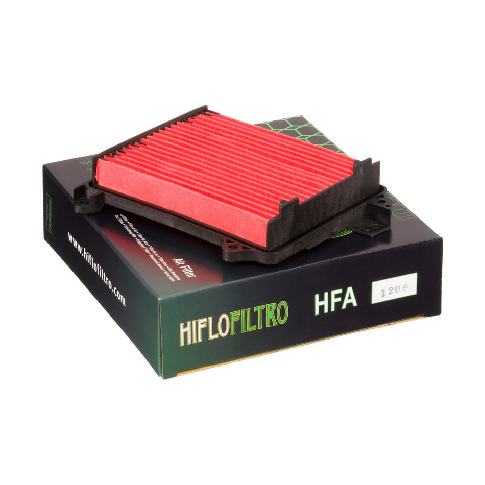 HFA1209 Air Filter