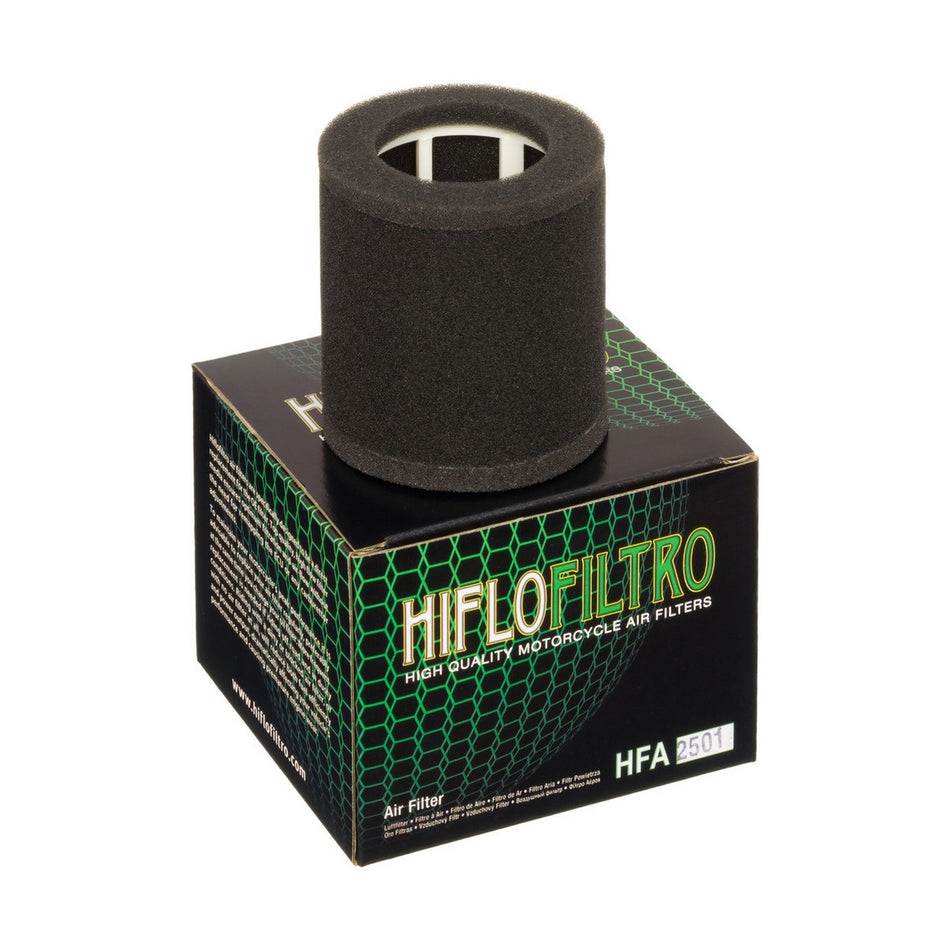 HFA2501 Air Filter