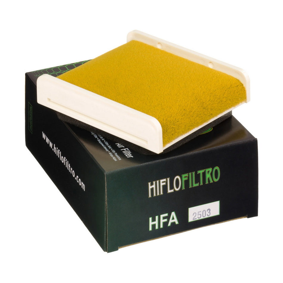 HFA2503 Air Filter