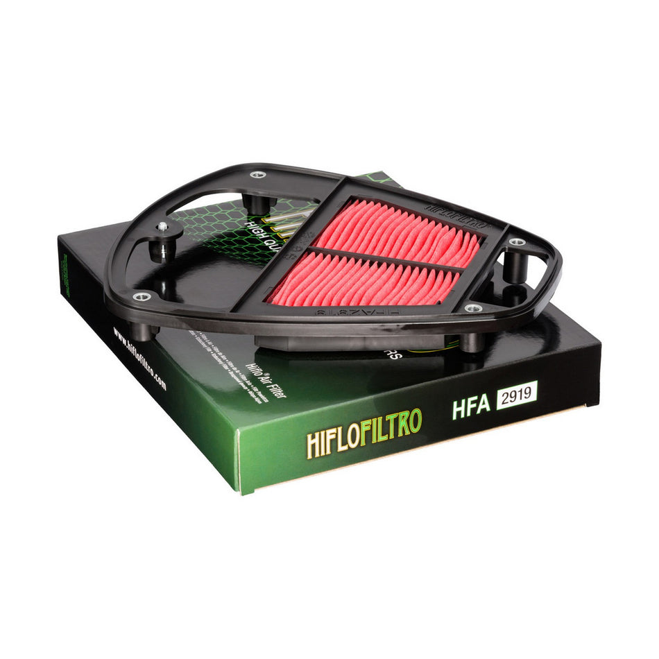 HFA2919 Air Filter