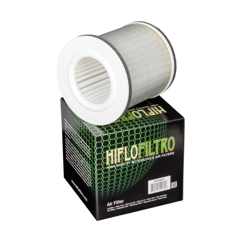 HFA4603 Air Filter
